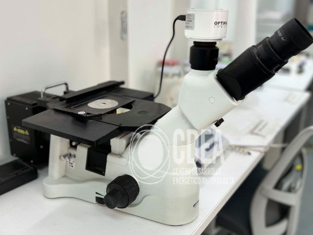 20220526_Microscopio