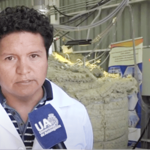 UA graduó al primer  Doctor en Energía Solar de Chile